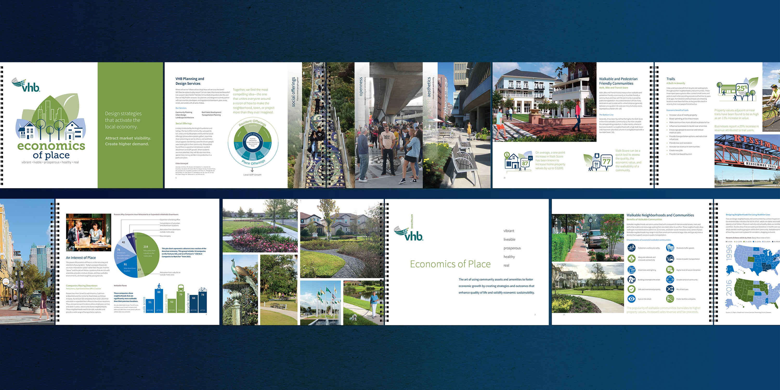 Linda Hanus - Wildlight Booklet Design Cover Letter