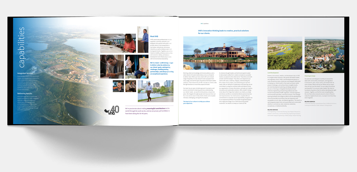 Linda Hanus - Green Initiative Green Cleaning Poster Design and Illustration